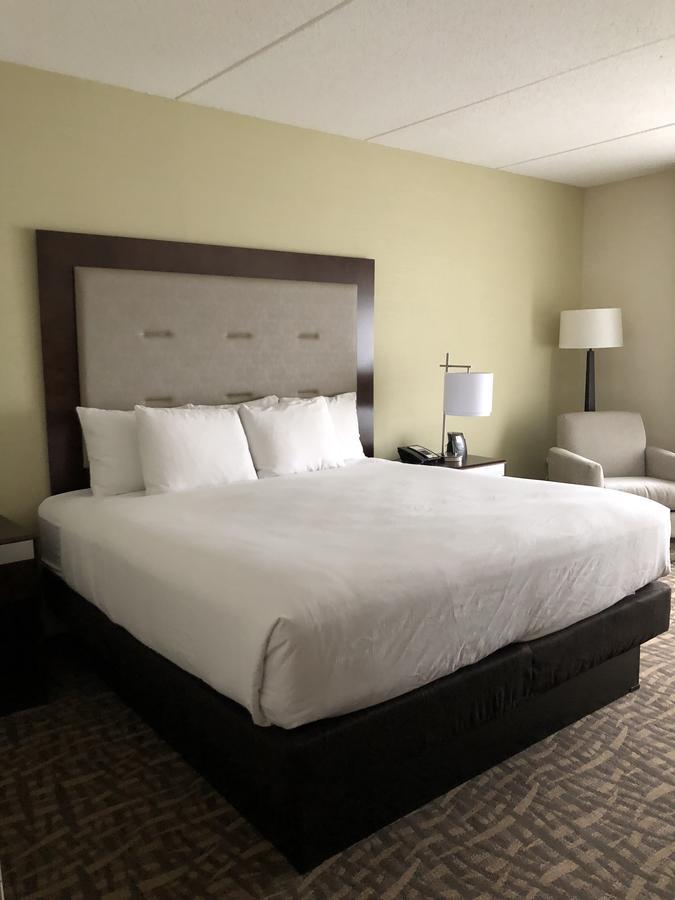 Wyndham Garden Buffalo Downtown מראה חיצוני תמונה