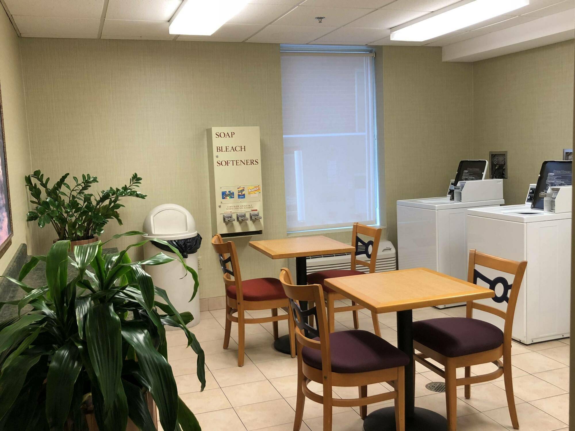 Wyndham Garden Buffalo Downtown מראה חיצוני תמונה